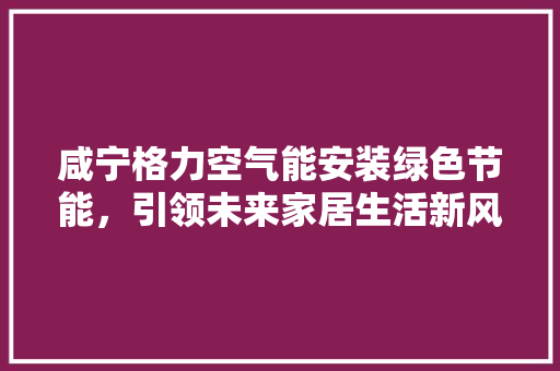 咸宁格力空气能安装绿色节能，引领未来家居生活新风尚 清洁保养