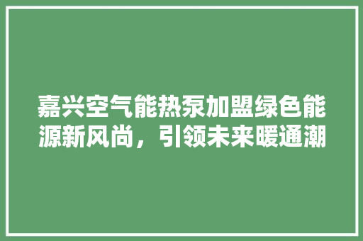 嘉兴空气能热泵加盟绿色能源新风尚，引领未来暖通潮流 翻新改色