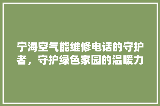 宁海空气能维修电话的守护者，守护绿色家园的温暖力量 热水器