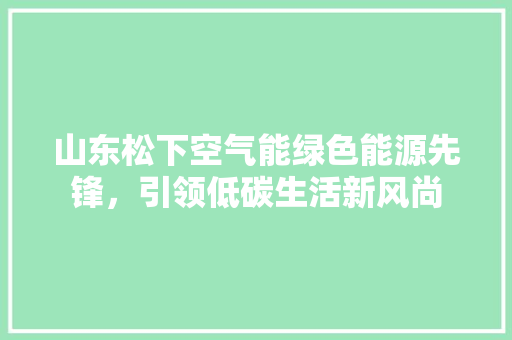山东松下空气能绿色能源先锋，引领低碳生活新风尚 灯具安装