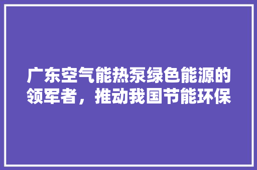 广东空气能热泵绿色能源的领军者，推动我国节能环保事业迈向新高峰 洗衣机