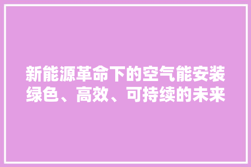 新能源革命下的空气能安装绿色、高效、可持续的未来生活 清洁保养