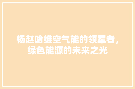 杨赵哈维空气能的领军者，绿色能源的未来之光 热水器