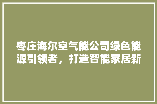 枣庄海尔空气能公司绿色能源引领者，打造智能家居新潮流 清洁保养