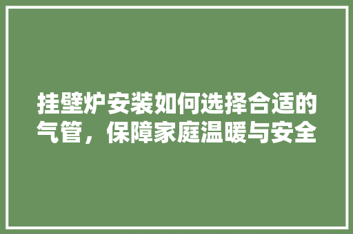挂壁炉安装如何选择合适的气管，保障家庭温暖与安全 家电维护