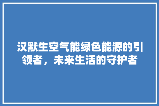 汉默生空气能绿色能源的引领者，未来生活的守护者 灯具安装