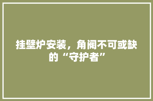 挂壁炉安装，角阀不可或缺的“守护者” 水电维修