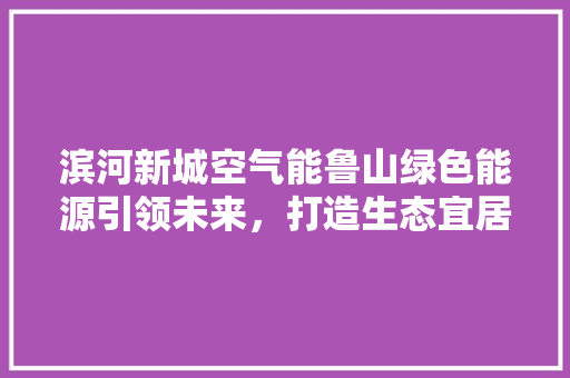 滨河新城空气能鲁山绿色能源引领未来，打造生态宜居新典范 热水器