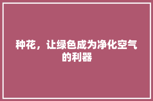 种花，让绿色成为净化空气的利器 空调