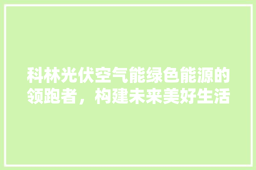 科林光伏空气能绿色能源的领跑者，构建未来美好生活 旧房改造