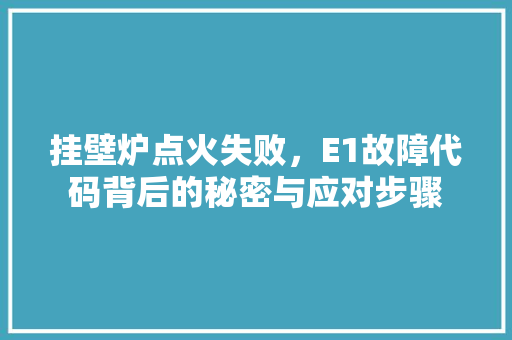 挂壁炉点火失败，E1故障代码背后的秘密与应对步骤 洗衣机