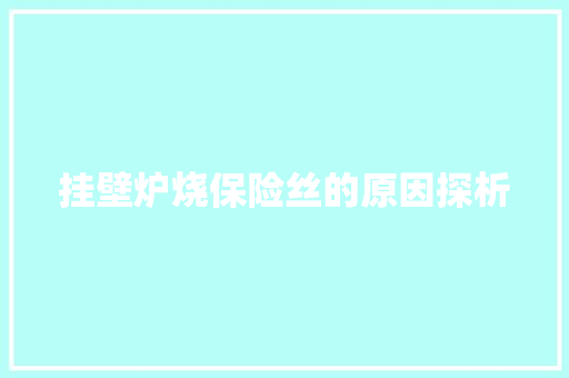 挂壁炉烧保险丝的原因探析 热水器