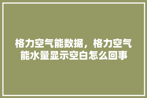 格力空气能数据，格力空气能水量显示空白怎么回事 贴膜