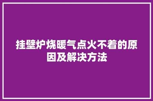 挂壁炉烧暖气点火不着的原因及解决方法 装修设计