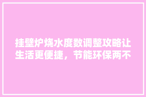 挂壁炉烧水度数调整攻略让生活更便捷，节能环保两不误 家电维护