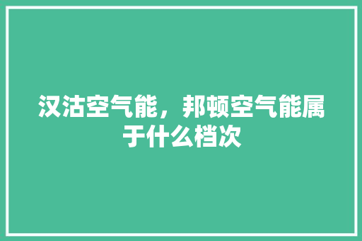 汉沽空气能，邦顿空气能属于什么档次 旧房改造