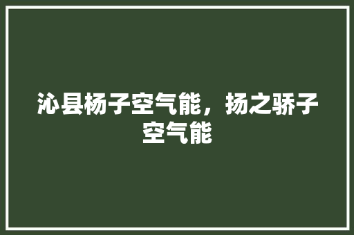 沁县杨子空气能，扬之骄子空气能 灯具安装