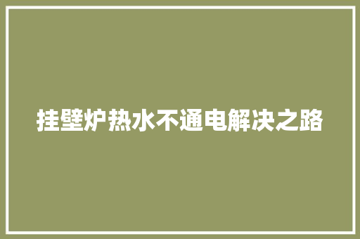 挂壁炉热水不通电解决之路 清洁保养
