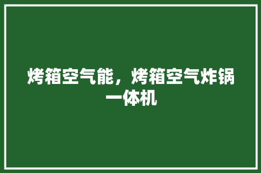 烤箱空气能，烤箱空气炸锅一体机 家具修理