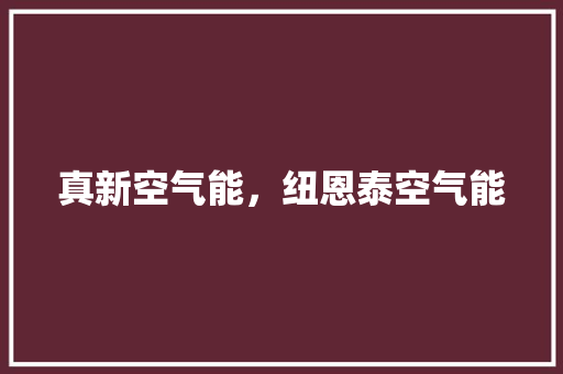 真新空气能，纽恩泰空气能 空调