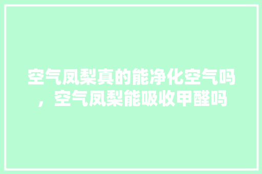 空气凤梨真的能净化空气吗，空气凤梨能吸收甲醛吗 旧房改造