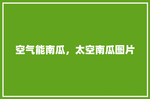 空气能南瓜，太空南瓜图片 翻新改色
