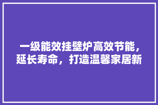 一级能效挂壁炉高效节能,延长寿命,打造温馨家居新选择 灯具安装 一级能效挂壁炉高效节能,延长寿命,打造温馨家居新选择 灯具安装