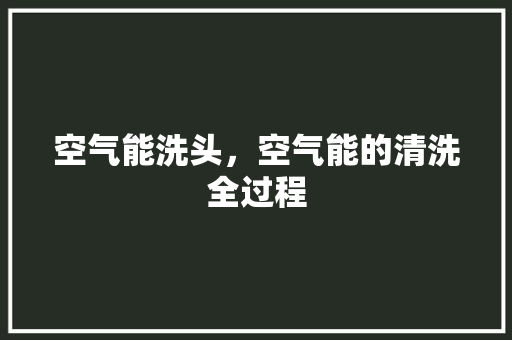 空气能洗头，空气能的清洗全过程 装修设计