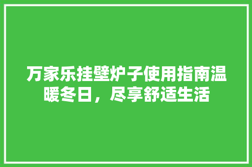 万家乐挂壁炉子使用指南温暖冬日,尽享舒适生活 装修设计 万家乐挂壁炉子使用指南温暖冬日,尽享舒适生活 装修设计