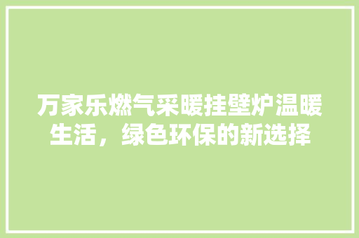 万家乐燃气采暖挂壁炉温暖生活,绿色环保的新选择 家具修理 万家乐燃气采暖挂壁炉温暖生活,绿色环保的新选择 家具修理