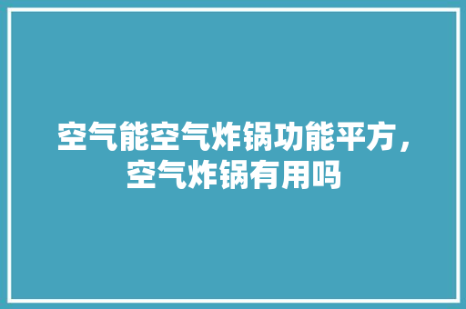 空气能空气炸锅功能平方，空气炸锅有用吗 洁具维修