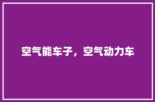 空气能车子，空气动力车 空调