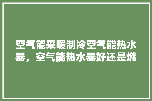 空气能采暖制冷空气能热水器，空气能热水器好还是燃气热水器好 翻新改色