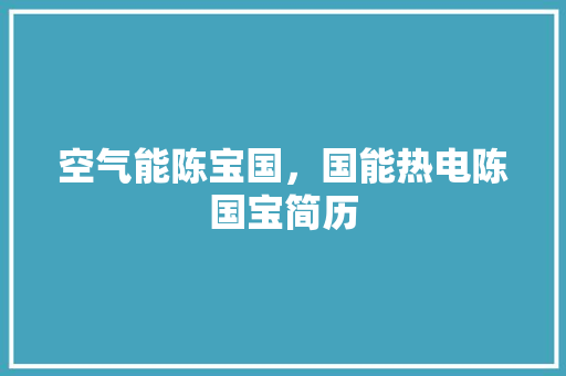 空气能陈宝国，国能热电陈国宝简历 翻新改色