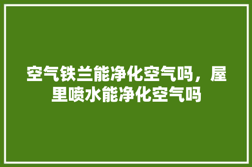 空气铁兰能净化空气吗，屋里喷水能净化空气吗 家电维护
