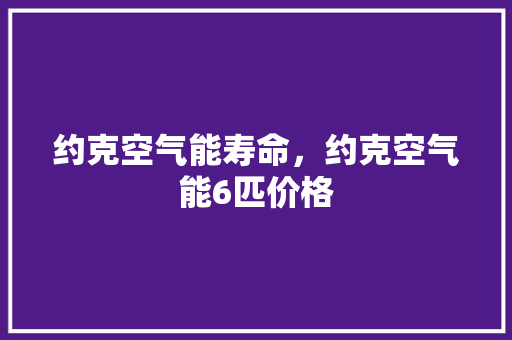约克空气能寿命，约克空气能6匹价格 冰箱