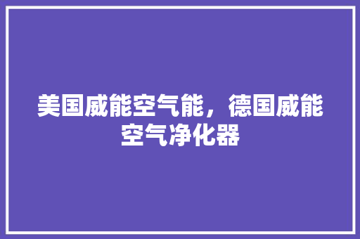 美国威能空气能，德国威能空气净化器 旧房改造
