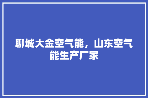 聊城大金空气能，山东空气能生产厂家 热水器