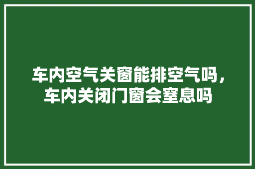 车内空气关窗能排空气吗，车内关闭门窗会窒息吗 装修设计