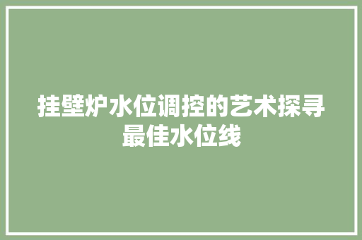 挂壁炉水位调控的艺术探寻最佳水位线 家居维修