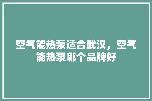空气能热泵适合武汉，空气能热泵哪个品牌好 热水器