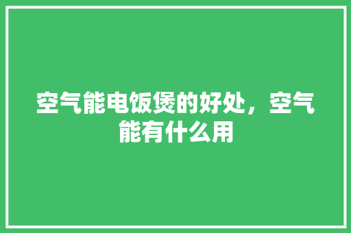空气能电饭煲的好处，空气能有什么用 洁具维修
