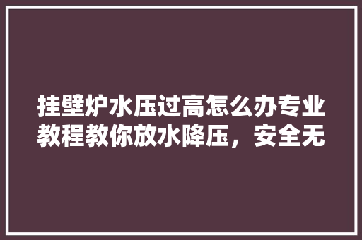 挂壁炉水压过高怎么办专业教程教你放水降压，安全无忧！ 清洁保养