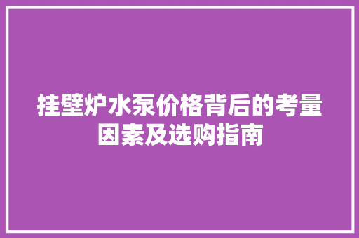 挂壁炉水泵价格背后的考量因素及选购指南 旧房改造