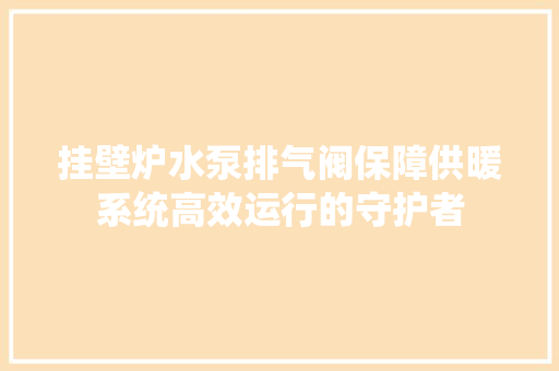 挂壁炉水泵排气阀保障供暖系统高效运行的守护者 翻新改色