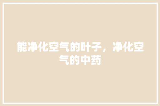 能净化空气的叶子，净化空气的中药 龙头管件