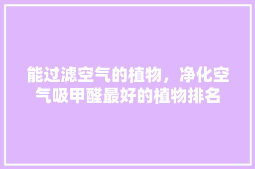 能过滤空气的植物，净化空气吸甲醛最好的植物排名 翻新改色