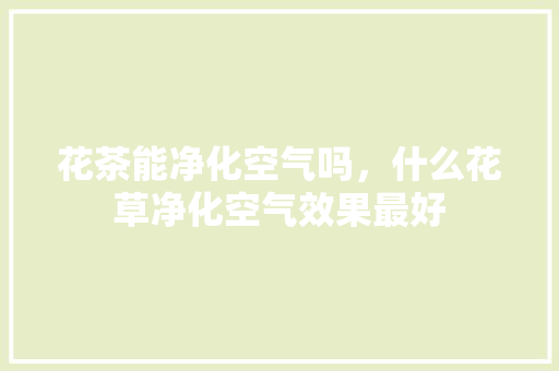 花茶能净化空气吗，什么花草净化空气效果最好 翻新改色