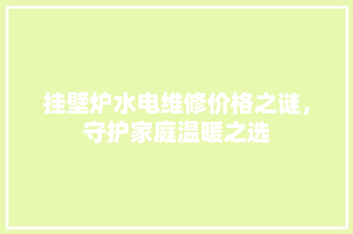 挂壁炉水电维修价格之谜，守护家庭温暖之选 清洁保养