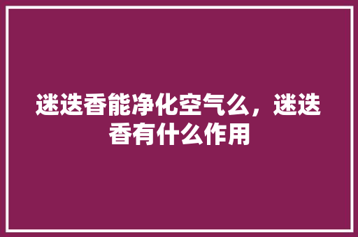 迷迭香能净化空气么，迷迭香有什么作用 洁具维修